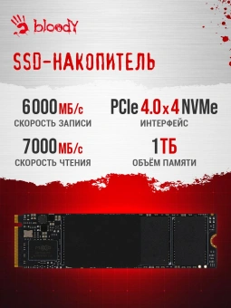 ПК Bloody BD-PC CZ79C3 MT i7 13700F (2.1) 32Gb SSD1Tb RTX4070Ti Super 16Gb Windows 11 Home 64 GbitEth 850W черный (RUS) (2086015) - купить недорого с доставкой в интернет-магазине