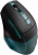 Мышь A4Tech Fstyler FB35CS темно-зеленый/черный оптическая 2000dpi silent беспров. BT/Radio USB 5but (FB35CS USB MIDNIGHT GREEN) - купить недорого с доставкой в интернет-магазине
