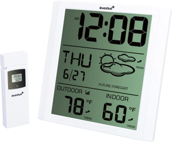 Термометр Levenhuk LP30 белый - купить недорого с доставкой в интернет-магазине