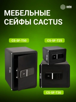 Сейф мебельный Cactus CS-SF-T25L взломостойкий 250x350x300мм электронный - купить недорого с доставкой в интернет-магазине