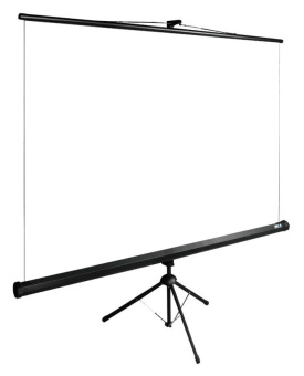 Экран Cactus 160x160см TriExpert CS-PSTE-160x160-BK 1:1 напольный рулонный черный - купить недорого с доставкой в интернет-магазине