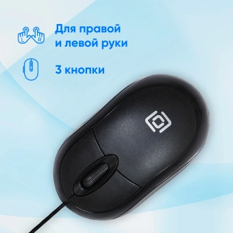 Мышь Оклик 105S черный оптическая 800dpi USB для ноутбука 3but (400941) - купить недорого с доставкой в интернет-магазине