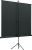 Экран на треноге Lumien 67" 127x127см Eco View LEV-100104 1:1 напольный рулонный - купить недорого с доставкой в интернет-магазине