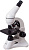 Микроскоп Levenhuk Rainbow 50L монокуляр 40-800x на 3 объектива лунный камень