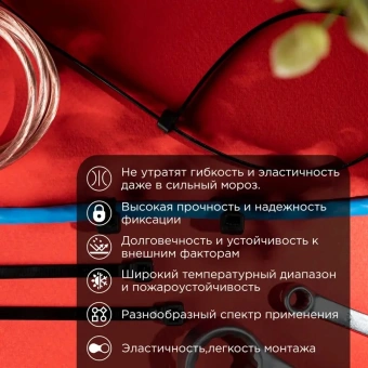 Стяжка пластиковая Rexant 87-1302 300x4.8мм (упак:100шт) нейлон внешний (-60/+85) черный - купить недорого с доставкой в интернет-магазине