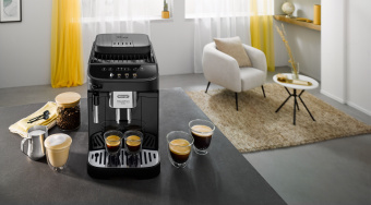 Кофемашина Delonghi Magnifica Evo ECAM290.22.B 1450Вт серебристый/черный - купить недорого с доставкой в интернет-магазине