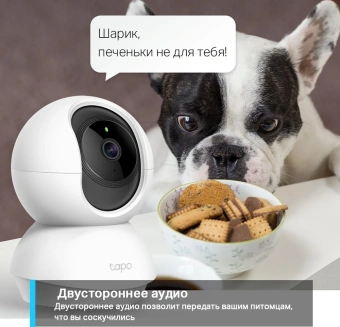 Камера видеонаблюдения IP TP-Link Tapo C210 Wi-Fi 3.83-3.83мм цв. корп.:белый - купить недорого с доставкой в интернет-магазине