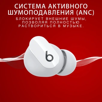 Гарнитура внутриканальные Beats Studio Buds True Wireless Noise Cancelling белый беспроводные bluetooth в ушной раковине (MJ4Y3EE/A) - купить недорого с доставкой в интернет-магазине