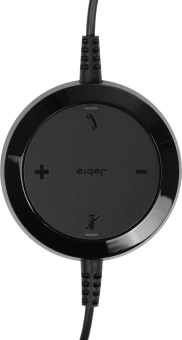 Наушники с микрофоном Jabra Evolve 20 SE черный 1.2м накладные USB оголовье (4999-823-309) - цена, купить или заказать с доставкой в интернет-магазине Наушники с микрофоном Jabra Evolve 20 SE черный 1.2м накладные USB оголовье (4999-823-309) - купить недорого с доставкой в интернет-магазине