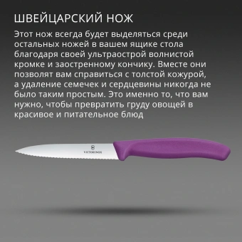 Нож кухонный Victorinox Swiss Classic (6.7735.C1) стальной универсальный для чистки овощей и фруктов лезв.100мм серрейт. заточка пурпурный - купить недорого с доставкой в интернет-магазине