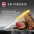 Нож кухонный Victorinox Swiss Classic (6.7838.C1) стальной столовый для овощей лезв.110мм серрейт. заточка желтый - купить недорого с доставкой в интернет-магазине