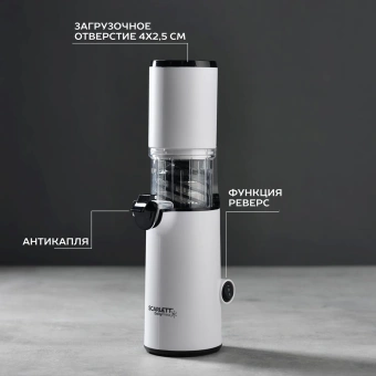 Соковыжималка шнековая Scarlett DailyPress SC-JE50S59 130Вт рез.сок.:600мл. белый - купить недорого с доставкой в интернет-магазине