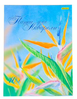 Папка для акварели Silwerhof 914008-54 A3 10л. бум.180г/м2 - купить недорого с доставкой в интернет-магазине