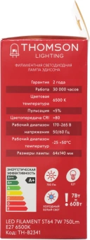 Лампа филам. Thomson Filament TH-B2341 7Вт цок.:E27 эдисон 220B св.свеч.бел.хол. ST64 (упак.:1шт) - купить недорого с доставкой в интернет-магазине