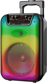 Минисистема Hyundai H-MC1292 черный 18Вт FM USB BT micro SD - купить недорого с доставкой в интернет-магазине