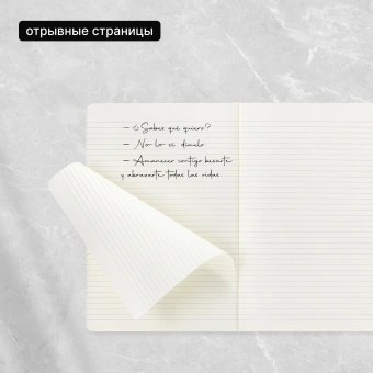 Блокнот Moleskine CAHIER JOURNAL QP421 XLarge 190х250мм обложка картон 120стр. линейка бежевый (3шт) - купить недорого с доставкой в интернет-магазине