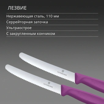 Набор ножей Victorinox Swiss Classic 6.7835.2C1 компл.:2предм. фиолетовый европодвес - купить недорого с доставкой в интернет-магазине