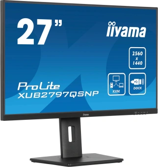 Монитор Iiyama 27" ProLite XUB2797QSNP-B1 черный IPS LED 16:9 HDMI M/M матовая HAS Piv 300cd 178гр/178гр 2560x1440 100Hz DP WQ HD 2K (1440p) USB 6.1кг - купить недорого с доставкой в интернет-магазине