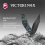 Нож перочинный Victorinox Evoke BSH Alox Navy (0.9425.DS222) 136мм 4функц. синий камуфляж подар.коробка - купить недорого с доставкой в интернет-магазине
