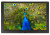 Фоторамка Digma 10.1" PF-1043 IPS 1280x800 черный пластик ПДУ Видео - цена, купить или заказать с доставкой в интернет-магазине Фоторамка Digma 10.1" PF-1043 IPS 1280x800 черный пластик ПДУ Видео - купить недорого с доставкой в интернет-магазине
