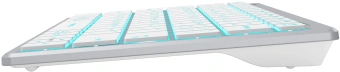 Клавиатура A4Tech FX61 белый USB slim LED (FX61 WHITE) кабель 1.5м - купить недорого с доставкой в интернет-магазине