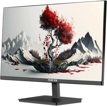 Монитор RDW Computers 23.8" RDW2401K черный IPS 4ms 16:9 HDMI M/M матовая HAS Piv 1000:1 300cd 178гр/178гр 1920x1080 100Hz VGA DP FHD 1.7кг (RUS) - купить недорого с доставкой в интернет-магазине