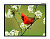 Экран Lumien 165" 305x305см Master Picture LMP-100107 1:1 настенно-потолочный рулонный