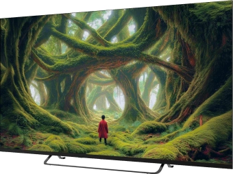 Телевизор LED Sber 65" SDX-65U5500MBB Салют ТВ Frameless черный 4K Ultra HD 60Hz DVB-T DVB-T2 DVB-C DVB-S DVB-S2 USB WiFi Smart TV (RUS) - купить недорого с доставкой в интернет-магазине