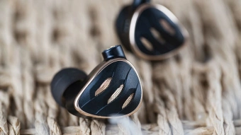 Наушники вкладыши Fiio FH5S 1.2м черный/медный проводные в ушной раковине (80001473) - купить недорого с доставкой в интернет-магазине