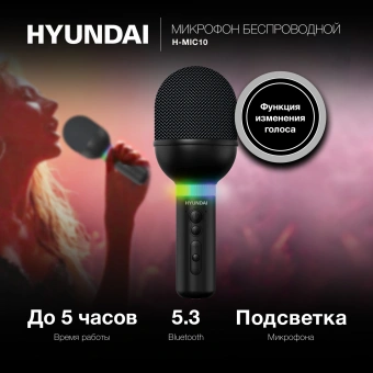Микрофон беспроводной Hyundai H-MIC101 черный - купить недорого с доставкой в интернет-магазине