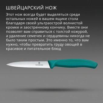 Нож кухонный Victorinox Swiss Classic (6.7734.C1) стальной универсальный для чистки овощей и фруктов лезв.100мм серрейт. заточка зеленый - купить недорого с доставкой в интернет-магазине
