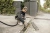 Строительный пылесос Karcher WD 4 V-20/5/22 1000Вт (уборка: сухая/сбор воды) желтый - купить недорого с доставкой в интернет-магазине
