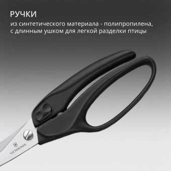 Ножницы кухонные Victorinox для разделки птицы 250мм черный (7.6344) - купить недорого с доставкой в интернет-магазине