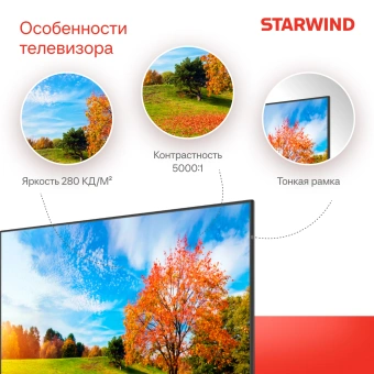 Телевизор LED Starwind 65" SW-LED65UG402 Яндекс.ТВ Frameless черный 4K Ultra HD 60Hz DVB-T DVB-T2 DVB-C DVB-S DVB-S2 USB WiFi Smart TV - купить недорого с доставкой в интернет-магазине
