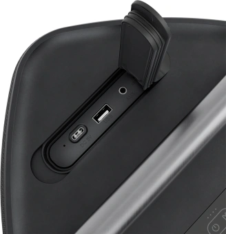 Колонка порт. Ural Молния Бит черный 420W 1.1 BT/3.5Jack/USB-C 10м 8000mAh (УРАЛ МОЛНИЯ БИТ) - купить недорого с доставкой в интернет-магазине