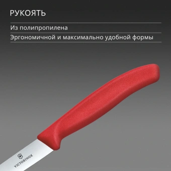 Нож кухонный Victorinox Swiss Classic 6.7701.C1 для овощей лезв.100мм прямая заточка красный - купить недорого с доставкой в интернет-магазине