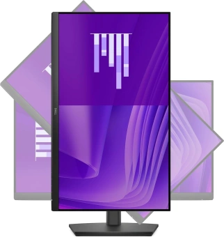 Монитор Dell 23.8" E2425HSM черный IPS LED 16:9 HDMI M/M матовая HAS Piv 1000:1 250cd 178гр/178гр 1920x1080 100Hz VGA DP FHD 4.66кг - купить недорого с доставкой в интернет-магазине
