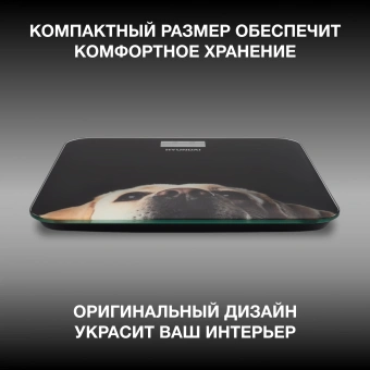 Весы напольные электронные Hyundai H-BS03674 макс.180кг черный - купить недорого с доставкой в интернет-магазине