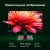 Моноблок Digma Pro Vision 23.8" Full HD Ryzen 3 5425U (2.7) 16Gb SSD512Gb RGr CR Windows 11 Pro Eth WiFi BT 90W клавиатура мышь Cam черный 1920x1080 - цена, купить или заказать с доставкой в интернет-магазине Моноблок Digma Pro Vision 23.8" Full HD Ryzen 3 5425U (2.7) 16Gb SSD512Gb RGr CR Windows 11 Pro Eth WiFi BT 90W клавиатура мышь Cam черный 1920x1080 - купить недорого с доставкой в интернет-магазине