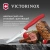 Нож кухонный Victorinox Swiss Classic (6.7831.C1) стальной столовый для овощей лезв.110мм серрейт. заточка красный - купить недорого с доставкой в интернет-магазине