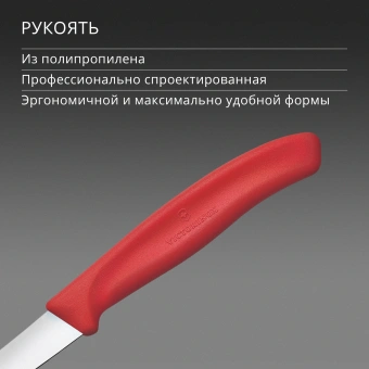Нож кухонный Victorinox Swiss Classic (6.7301.C1) стальной для чистки овощей и фруктов лезв.60мм прямая заточка красный - купить недорого с доставкой в интернет-магазине