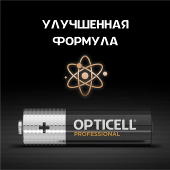 Батарея Opticell Professional LR6 AA (12шт) блистер - купить недорого с доставкой в интернет-магазине