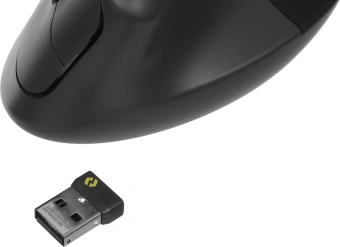 Мышь Logitech Lift графитовый оптическая 4000dpi silent беспров. BT/Radio USB для ноутбука 5but (910-006485) - купить недорого с доставкой в интернет-магазине