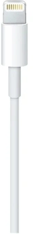 Кабель Apple A1510 MD819ZM/A USB (m)-Lightning (m) 2м белый - купить недорого с доставкой в интернет-магазине