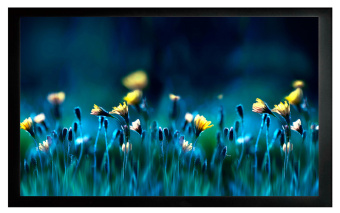 Экран на раме Cactus 90" 113x200см FrameExpert CS-PSFRE-200X113 16:9 настенный натяжной - купить недорого с доставкой в интернет-магазине