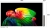 Телевизор OLED LG 83" OLED83B6RLA.ARUG коричневый/серый 4K Ultra HD 120Hz DVB-T2 DVB-C DVB-S2 USB WiFi Smart TV - цена, купить или заказать с доставкой в интернет-магазине Телевизор OLED LG 83" OLED83B6RLA.ARUG коричневый/серый 4K Ultra HD 120Hz DVB-T2 DVB-C DVB-S2 USB WiFi Smart TV - купить недорого с доставкой в интернет-магазине