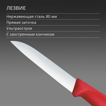 Нож кухонный Victorinox Swiss Classic (6.7401.C1) стальной для чистки овощей и фруктов лезв.80мм прямая заточка красный - купить недорого с доставкой в интернет-магазине