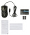 Мышь A4Tech Oscar Editor XL-747H коричневый/рисунок лазерная 3600dpi USB 6but (XL-747H (BROWN SPIDER)) - купить недорого с доставкой в интернет-магазине