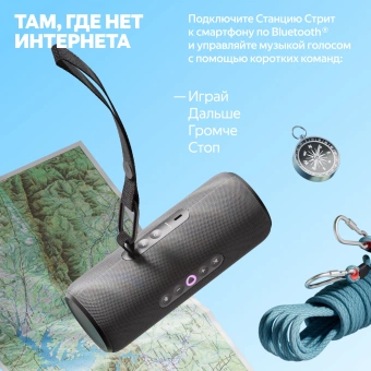 Умная колонка Yandex Стрит Алиса черный 30W 2.0 BT/Wi-Fi 10м 3300mAh (YNDX-00030BLK) - купить недорого с доставкой в интернет-магазине