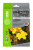 Фотобумага Cactus CS-MA623050 10x15/230г/м2/50л./белый матовое для струйной печати - купить недорого с доставкой в интернет-магазине
